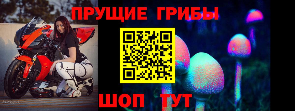 Псилоцибиновые грибы GOLDEN TEACHER Гуково